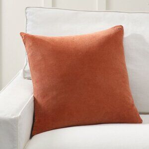 Pottery Barn Everywhere Velvet Pillow Cover in Adobe 20"x20"